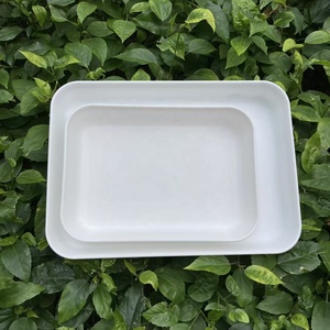 Bandeja de Recolección de Larvas de Mosquitos para la Cría de Larvas de Mosquitos para Colonias de Laboratorio - Product Image 3