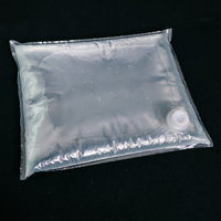 Sac aseptique transparent avec valve pour boissons liquides, écologique, pour tequila, vin, jus, sauces