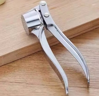 Presse-ail professionnel robuste et presse-agrumes à gingembre Hachoir de cuisine manuel facile à utiliser avec des caractéristiques métalliques durables et faciles à nettoyer