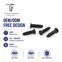 TianFang Custom Pan Head Black Zinc Plated Stainless Steel Solid Step Rivets, End Cap Fasteners, ISO Certified, for Car Wipers