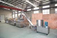 Machine automatique de fabrication de Chips de riz et de crevettes 3d, roue d'engrenage, extrudeuse de frites, ligne de Production de Krupuk