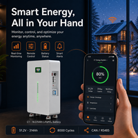 Batterie LiFePO4 48V 314Ah 16.08kWh avec BMS intelligent, équilibreur actif, écran LCD 3.5 pouces, CAN, RS485, RS232 pour système solaire domestique