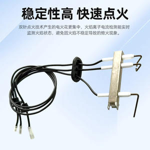 Electrodo de Encendido Viessmann Vitopend 100-W, Encendido Electrónico, Pieza para Calentador de Agua a Gas de Pared - Product Image 2