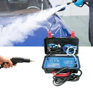 Manufacturer wholesale 220V 110V powerful high pressure 5 bar Multi-Surface Cleaning machine steam cleaner portable