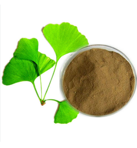 Best Quality Factory Supply Bulk Organic <strong>Ginkgo</strong> Biloba <strong>Extract</strong> on Sale - Product Image 2