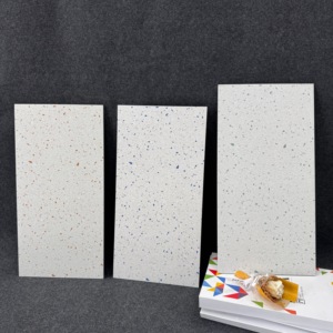 Diseño interior <span class=keywords><strong>moderno</strong></span> 300x600mm <span class=keywords><strong>terrazo</strong></span> mate superficie pared y baldosas para baño cocina balcón pared - Product Image 4