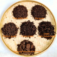 2015 Imperial Golden Bud Ripe Pu'er en vrac, Pu-erh Shu vieilli de qualité supérieure pour la personnalisation en gros