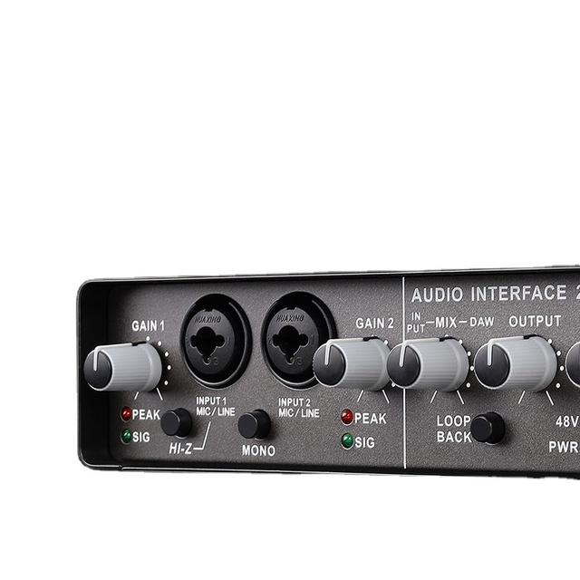 DAYMIC Professional 2 Input 2 Output Audio Interface Mixer With USB Mobile Recording for Home Studio