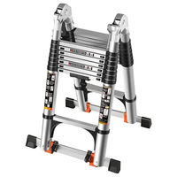 Échelles télescopiques en acier inoxydable 1,7M+1,7M, réglables, verrouillage manuel, 8 marches, capacité de charge 150 kg, design moderne et minimaliste