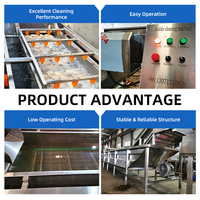 Volledig automatische roestvrijstalen fruit- en groentebellenreinigingsmachine met motor en PLC-besturing, commerciële fruitwasapparatuur