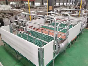 Matériel d'élevage porcin Stylos de pépinière et caisses de maternité Cages d'élevage d'<span class=keywords><strong>animaux</strong></span> - Product Image 4