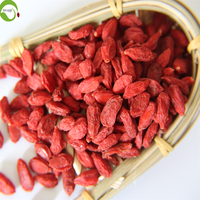 Goji-bessen Natuurlijke Chinese Gedroogde Vruchten Rode Wolfberry Zoete Bulk Vacuümverpakking Gezondheid Hele vruchten