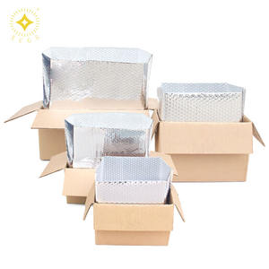 Geïsoleerde Mailers Voedselkoelers Hersluitbare Folie Thermisch Geïsoleerde Ritssluiting Koelscherm Geïsoleerde Zakken Verzendzak - Product Image 3