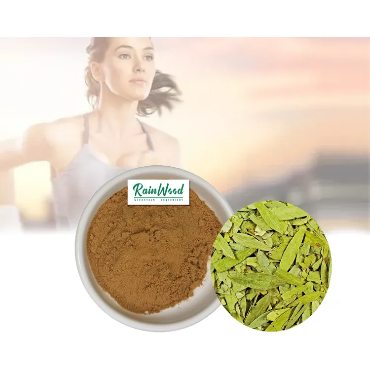 2021 più nuovo lotto Rainwood senna leaf extract powder 5% 10% 20% e 60% Sennoside Cassia angustifolia Senna Leaf Extract in stock