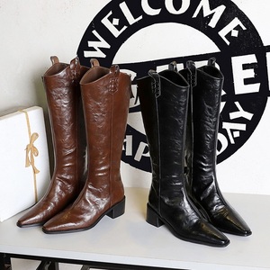 Bottines longues vintage pour femmes, style western, bout pointu, chaussures tendance, automne-hiver, talon épais, bottes hautes pour femmes - Product Image 5