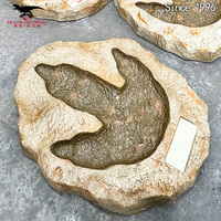 Material de Resina de Fibra de Vidrio, Huella de Dinosaurio Personalizada, Fósil de Dinosaurio en Venta