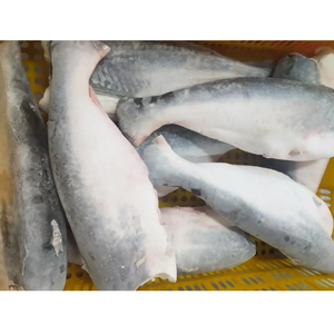 Pangasius Congelado Swai HGT, Pangasius Basa HGT, Pangasius Entero sin Cabeza y Eviscerado - Product Image 2