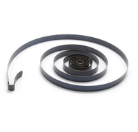 Ressort de torsion en spirale plate OEM en acier et acier inoxydable pour dévidoir de tuyau de machine à ramer