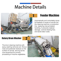 Commerciële verwerkingslijn voor wortelgewassen en fruit, geschikt voor bieten, raap en radijs, inclusief verpakkingsmachine (capaciteit 1000-1500 kg/uur)