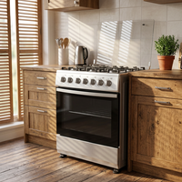 Cuisinière à gaz autonome 6 brûleurs avec four, en acier inoxydable, pour usage domestique