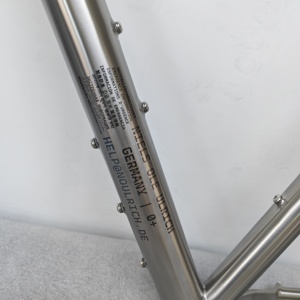 Cadre de vélo de montagne en titane - Product Image 6