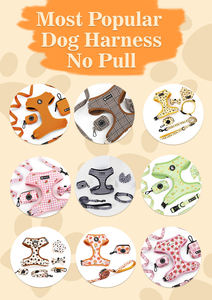 Ensemble de harnais pour petit chien, collier rembourré en maille respirante, laisse de luxe personnalisée avec broderie, ensemble harnais et laisse pour chien - Product Image 3