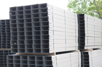 Plateau de câblage ventilé/perforé en acier au carbone ignifuge industriel Jiangsu à alimentation directe 200*100 pour pose de câbles