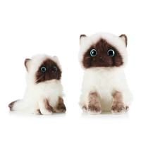 Jouets en peluche pour chat réalistes en gros, vente chaude, jouets en peluche pour chat doux et mignons, jouets en peluche pour chat réalistes, jouets en peluche pour animaux de compagnie