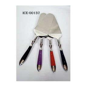 Juego de Cubiertos de Acero Inoxidable Pulido de Primera Calidad con Acabado Espejo y Mango de Resina, Proveedor Mayorista de Cubiertos para Hoteles y Restaurantes - Product Image 1