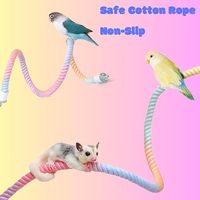 2 Ensembles de Jouets Perchoirs pour Oiseaux en Corde Dégradée, Balançoire d'Escalade en Chanvre avec Vis M530mm pour Perroquet, Budgie, Petaur d'Inde