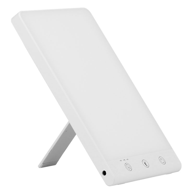 2021 New product 3 touch button LED therapy lamp with timer function