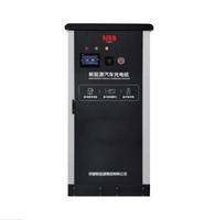 Borne de recharge DC pour véhicules électriques CNAMSTR, 30-180 kW, 75 A, 2 prises, câble de 3,5-7 m, Tesla