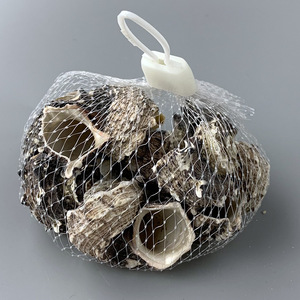 Artesanías <span class=keywords><strong>de</strong></span> Conchas DIY en Bolsas <span class=keywords><strong>de</strong></span> <span class=keywords><strong>Red</strong></span>, un Éxito <span class=keywords><strong>de</strong></span> Ventas - Product Image 1