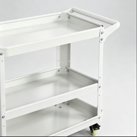 Armoire à outils en acier inoxydable à 3 niveaux, chariot de service robuste avec roues et poignée, personnalisable OBM/OEM/ODM, capacité de charge de 300 kg