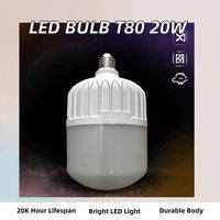Ampoule LED SMD avec corps en plastique et culot E27, alimentation CA, lumière du jour 6000K, éclairage pour parcs d'attractions, certifiée RoHS