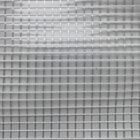 1000gsm 1100dtex vinyle transparent PVC bâche transparente imperméable bâche maille tissu PVC bâche rouleau pour porte volet roulant