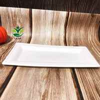 100% assiettes de bagasse de canne à sucre rectangulaires biodégradables compostables 10 pouces plats de fête jetables robustes