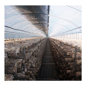 Invernadero de Estructura de Acero de Alta Calidad SINO con Sistema de Ventilación Automático, Película de PE de Doble Capa, Tamaño Personalizable - Product Image 5