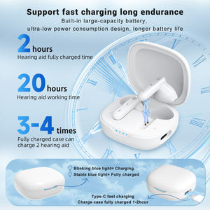 2023 गर्म बिक्री छोटे डिजिटल सुनवाई एम्पलीफायर के लिए विश्व स्तर पर उपकरणों के साथ चार्ज बॉक्स रिचार्जेबल सुनवाई एड्स वरिष्ठ नागरिकों और वयस्कों के लिए - Product Image 6