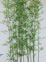 Décor à la maison réaliste plantes artificielles de haute qualité fausses plantes de bonsaï arbre de bambou artificiel d'intérieur