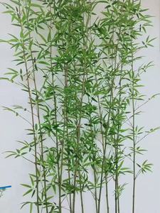 Décor à la maison réaliste <span class=keywords><strong>plantes</strong></span> <span class=keywords><strong>artificielles</strong></span> de haute qualité fausses <span class=keywords><strong>plantes</strong></span> de bonsaï arbre de bambou artificiel d'intérieur - Product Image 4