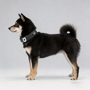 Collar con Rastreador <span class=keywords><strong>GPS</strong></span> 4G OEM/ODM, Resistente al Agua IP66, Llamadas Automáticas para Mascotas, Rastreador Inteligente de Actividad para Mascotas, Rastreador <span class=keywords><strong>GPS</strong></span> para Perros con Aplicación - Product Image 1