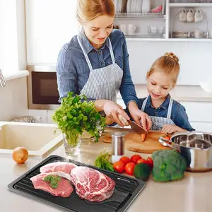 Descongelamento placa placa para descongelar carne degelo rápido bandeja para alimentos congelados