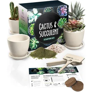 Custom Premium Indoor Plant Succulent Cactus Kit With Pot Markers Drip Trays DIY Gifts For Friends Children Mother Father