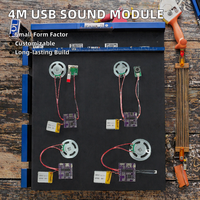 Modulo Audio USB Registrabile da 4M con Sensore di Luce per Musica e Voce, Altoparlante per Biglietti d'Auguri Fai-da-te e Regali
