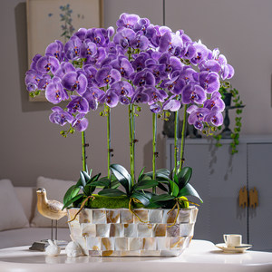 Vente en gros <span class=keywords><strong>de</strong></span> décoration d'intérieur, <span class=keywords><strong>orchidée</strong></span> papillon <span class=keywords><strong>artificielle</strong></span> en pot, fleur <span class=keywords><strong>artificielle</strong></span> au toucher réel, pot d'<span class=keywords><strong>orchidée</strong></span> Phalaenopsis - Product Image 2