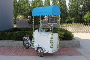 Vélo cargo réfrigéré à trois roues motorisé électrique OEM pour la livraison de glaces et de boissons fraîches - Product Image 3