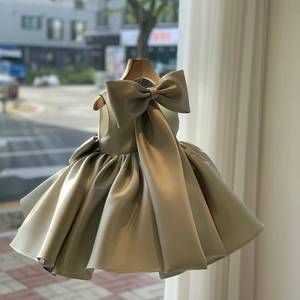 Robe de princesse en tulle pour bébés filles, idéale pour récital de piano, anniversaire, première cérémonie, spectacle sur scène, costume élégant - Product Image 2