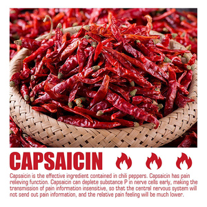 공장 공급 신체 통증 고추 석고 패치 등 어깨 통증 패치 무릎 관절 통증 패치 - Product Image 4