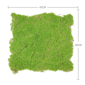 Vente flash : Plantes artificielles en mousse verte, tapis vert pour la décoration de la maison, mousse artificielle pour suspendre au mur, paysage vert pour l'intérieur - Product Image 2